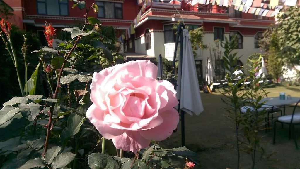 Rokpa Guest House Kathmandu