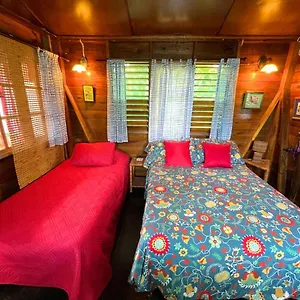 Hostal Judy House And Negril
